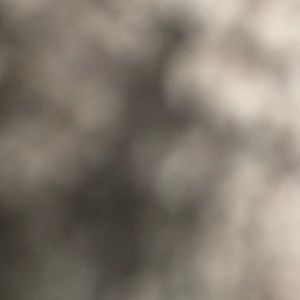 Meet your Posher, Sanalee